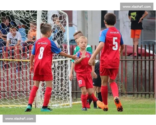 体育直播官方网站全面升级带你实时观看全球赛事精彩瞬间